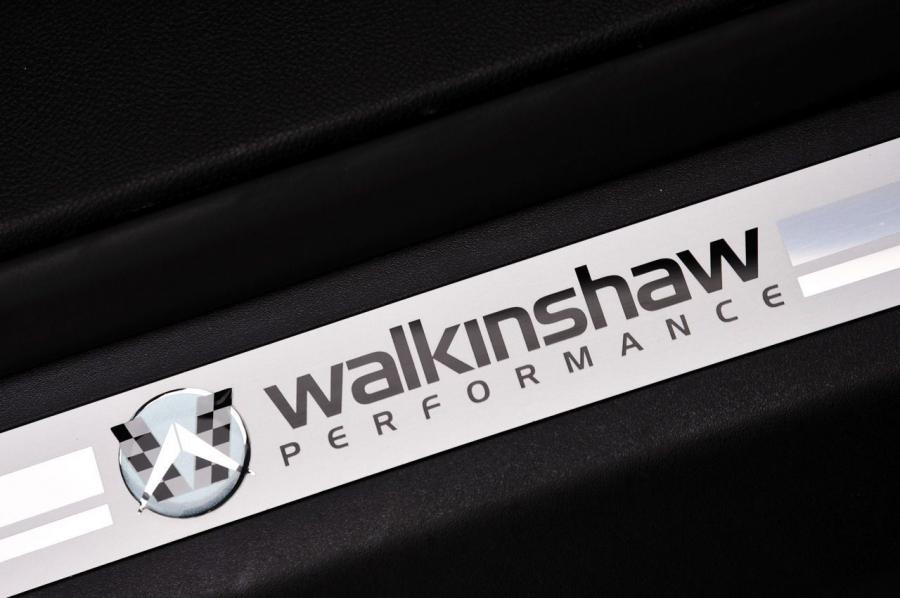  Vauxhall VXR8 Bathurst S Edition 2009 года  (фото 15 из 47)